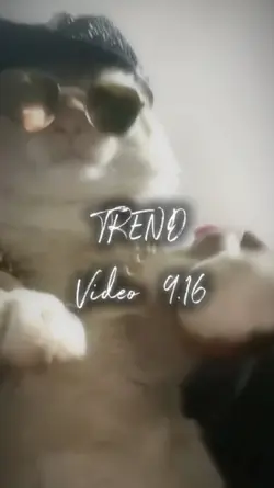 Trend song ,