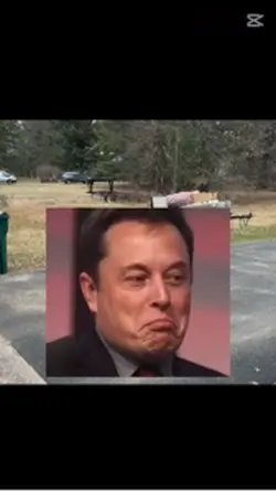 Tesla musk 