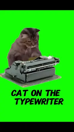Cat on typewriter 