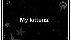 My kittens! 
