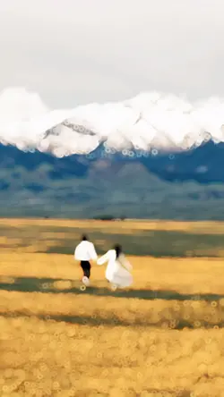 5video aesthetic 