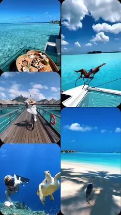 Summer 2026