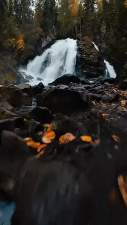 5 video or photo
