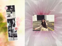 feed ideas