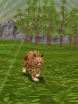 Wildcraft edit 🐆
