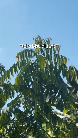teks bisa diubah