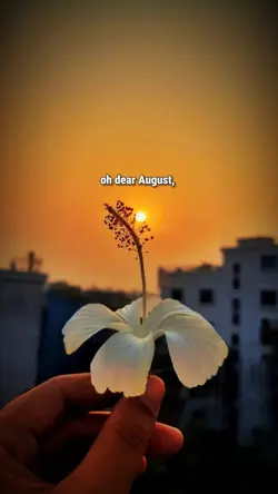 Oh dear August