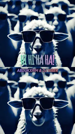 HI HI HA HA!