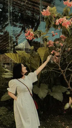 aesthetic