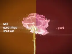 wildflower