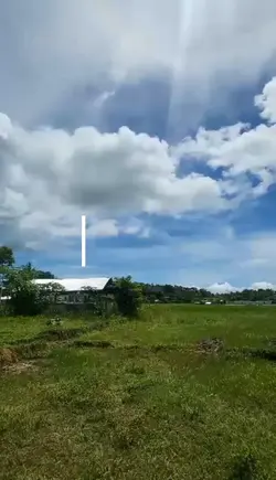julydump