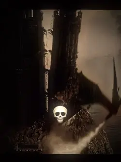 Skull 💀 