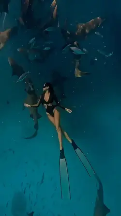 Diving underwater