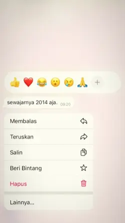 sewajarnya 2014