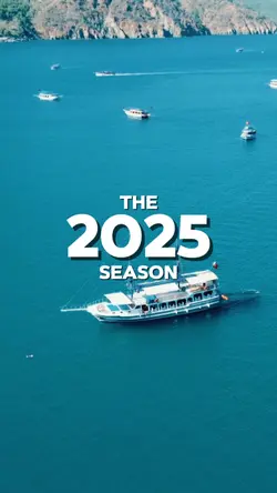 the 2025 season