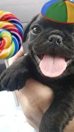 :33