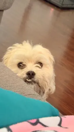 Blind reacting😭