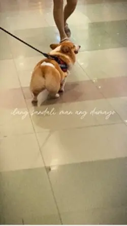 Kalendaryo dump