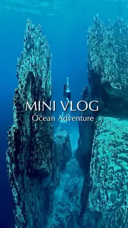 Ocean Adventure 