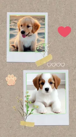 cutie puppies