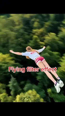 Fly