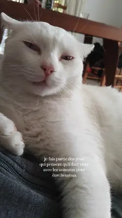 les animaux 