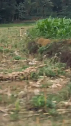 10detik kece simpel