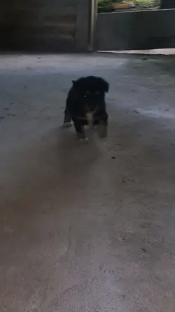 Salimos de la Calle