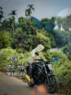 Trend song 