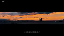 OH SIMPLE THING..?