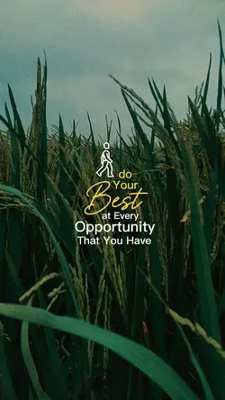 DO YOUR BEST ✩彡