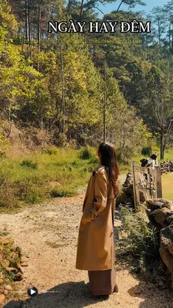 Ngày hay đêm