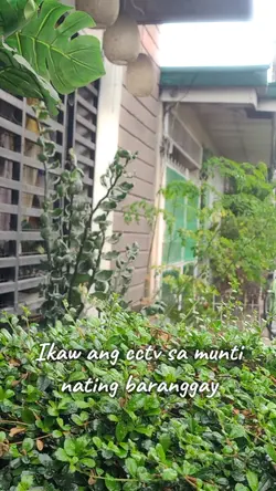 ikaw ang cctv