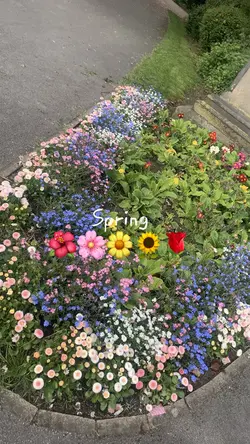 Spring my Season 
