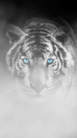 Tiger Smok AI