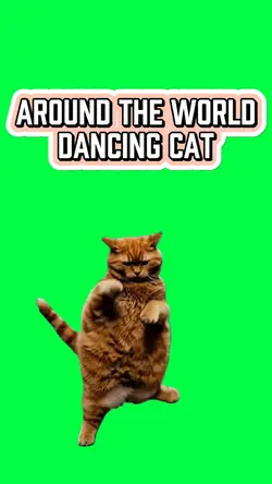 AROUND THE WORLD CAT