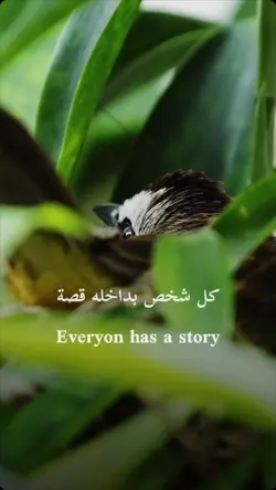 Inspirational quote