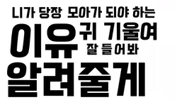 모아가 되야하는 이유