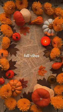 fall vibes 
