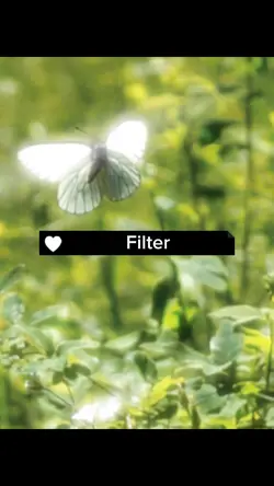 filter