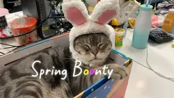 Spring Bounty