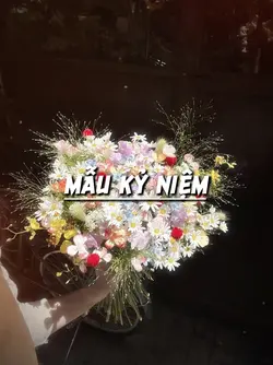 MẪU NHIỀU ẢNH 