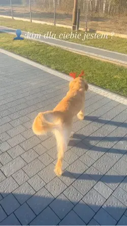 Jesteś tą jedną 