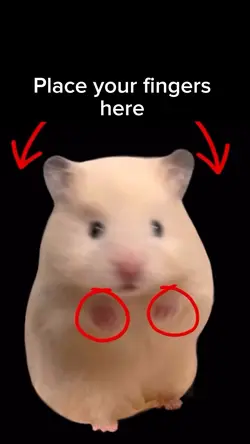 Place your fingers