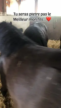 Mon koko d’amour ❤️