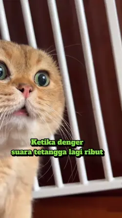 Denger suara ribut