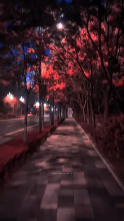 Noku vogël❤️
