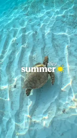 Summer POV