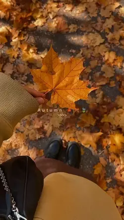 Autumn