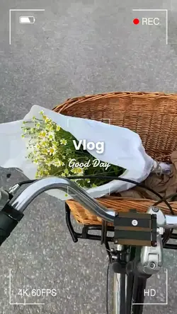 4 video vlog